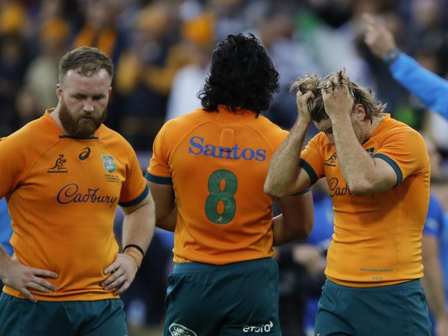 FLORENCE, ITALY - NOVEMBER 12: Tate McDermott of Australia holds his head in his hands at the end of the Autumn International match between Italy and Australia at Stadio Artemio Franchi on November 12, 2022 in Florence, Italy. (Photo by Timothy Rogers/Getty Images)