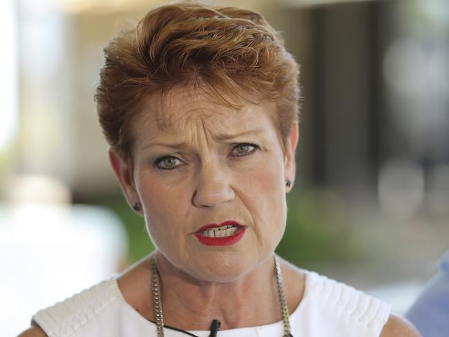 Pauline Hanson says members of African crime gangs should be deported. Picture: Mark Cranitch.