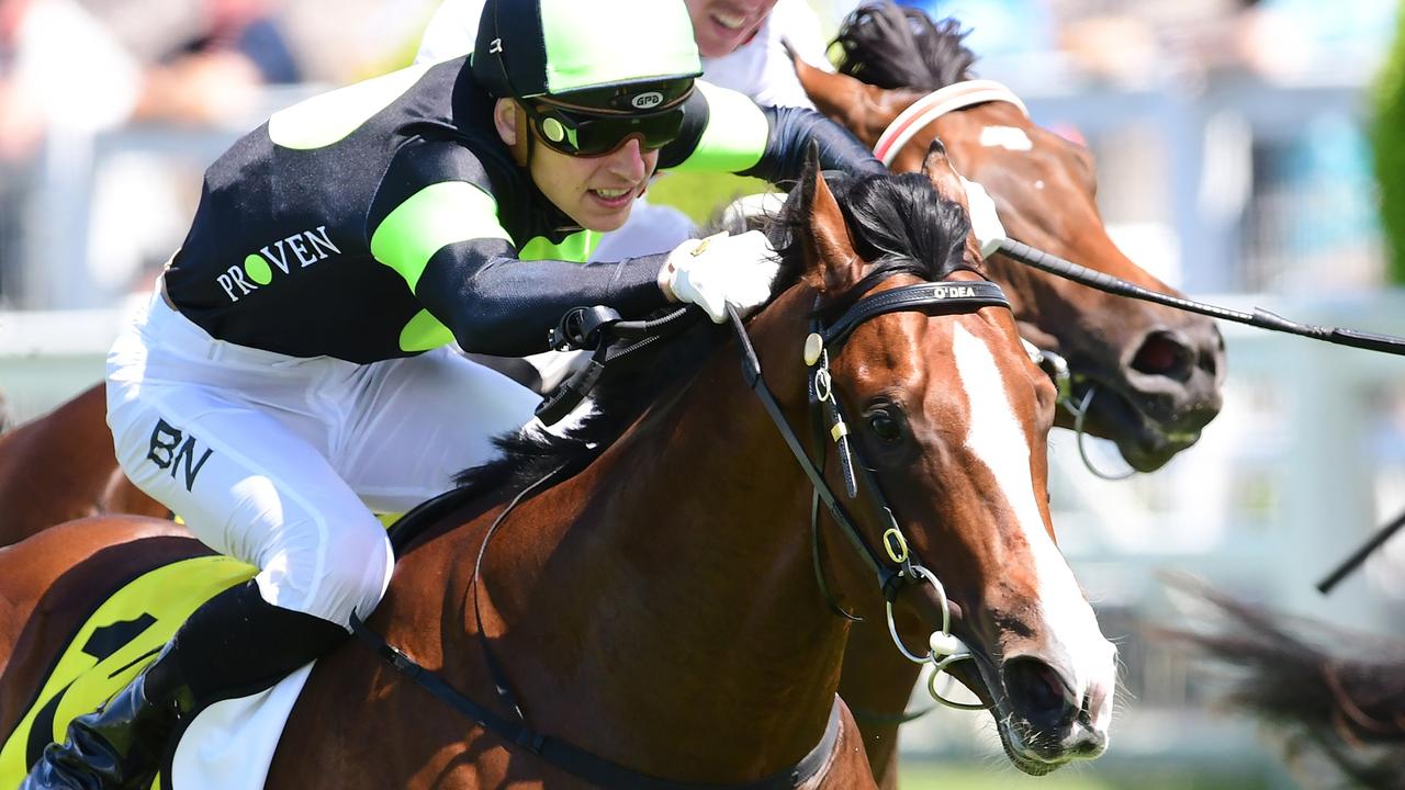 Training partnership Steve O'Dea and Matt Hoysted are set for even ...