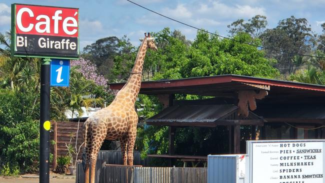 The Big Giraffe Cafe on the Bruce Highway at Bororen in Central Queensland.