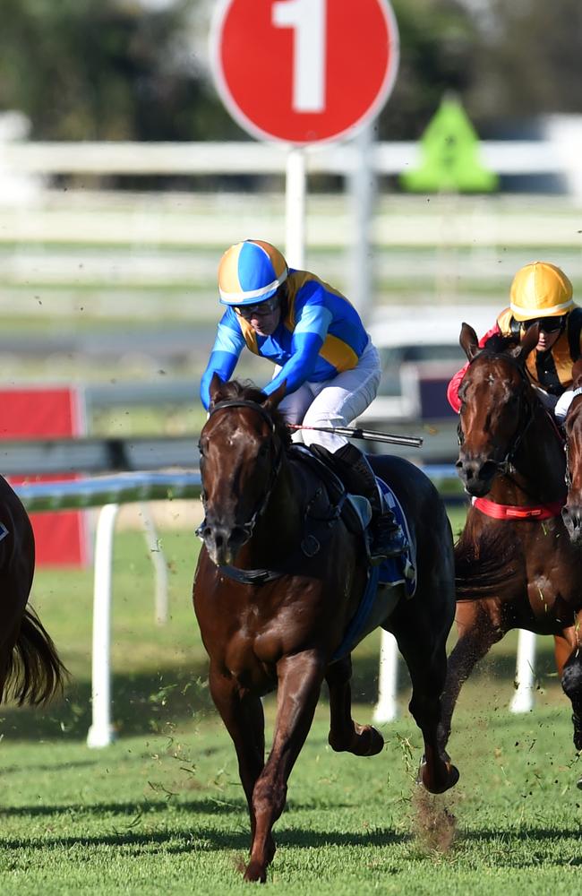 Winning Rupert landed some decent bets when he took out the Champagne Classic. Picture: AAP