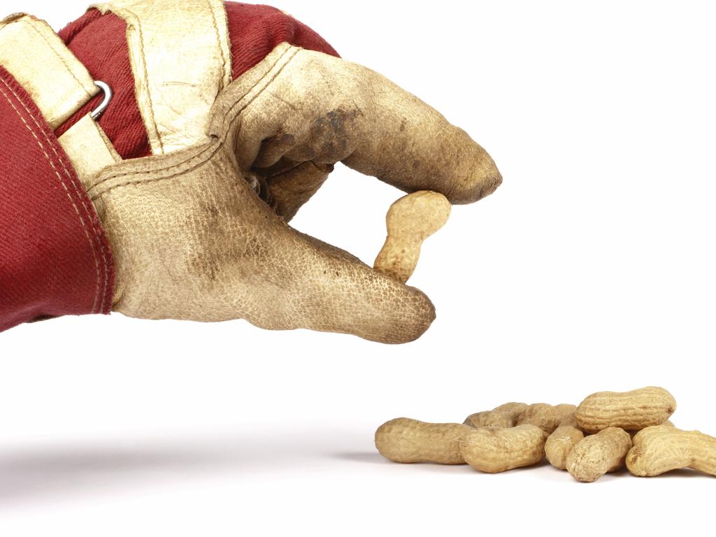 Peanut allergy drug gets the tick