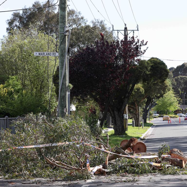 Trees down on the corner of Marland Road and Albert Ave in Boronia on Monday. Picture: NCA NewsWire / Ian Currie