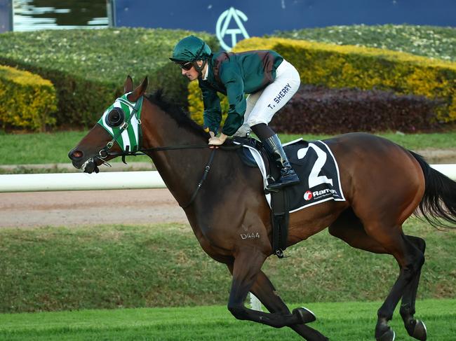 SYDNEY, AUSTRALIA - APRIL 27: Tom Sherry riding Diamond Diesel wins Race 10 Luke Lucas during Sydney Racing at Rosehill Gardens on April 27, 2024 in Sydney, Australia. (Photo by Jeremy Ng/Getty Images)