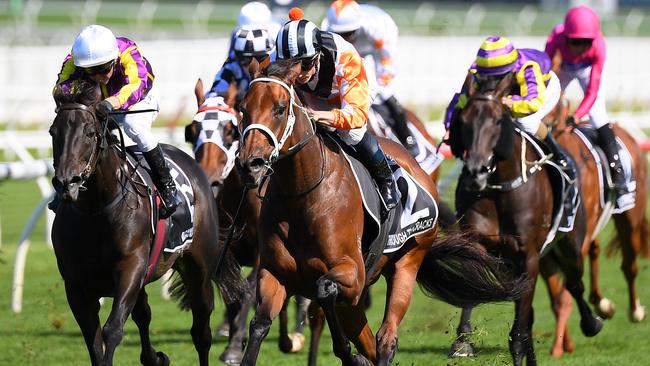 Through The Cracks can take out the Listed Carrington Stakes. Picture: AAP Image