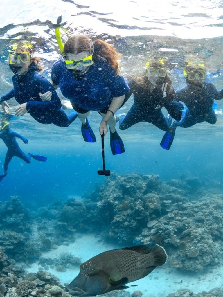 Actual footage of me snorkelling, already poised to nope out of there if the fish got too close. Image: supplied.