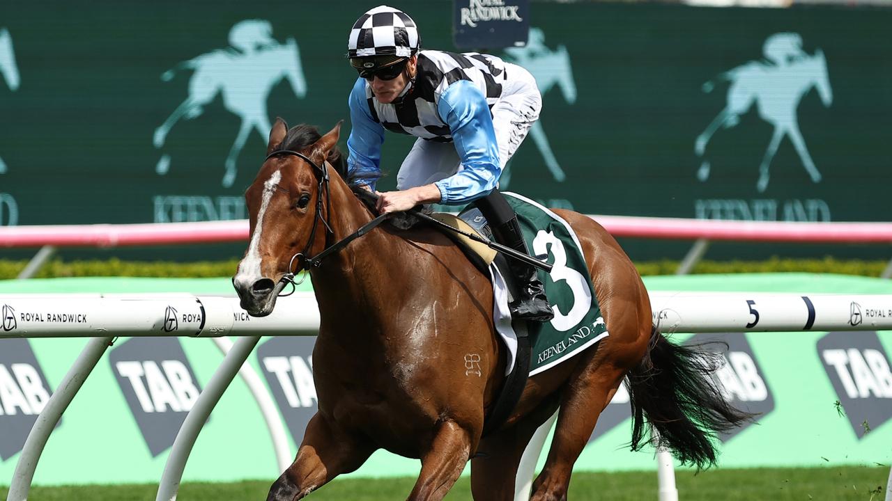 Bel Merci will trial at Royal Randwick on Monday. Picture: Jeremy Ng-Getty Images