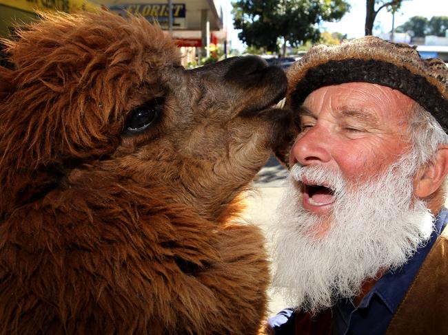 Ludo Mineur with his alpaca.