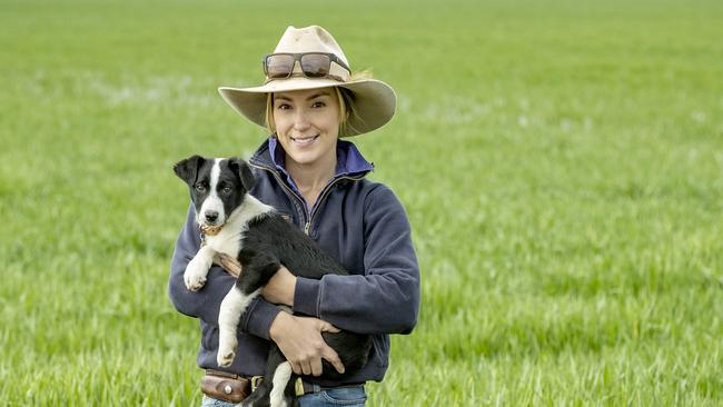 CROP: Harley Toohey at RaywoodHarley Toohey at Raywood with Border Collie puppy named MaizyPictured:  Harley Toohey with Border Collie puppy named Maizy in barley crop at RaywoodPicture: Zoe Phillips