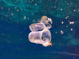 Cup in water - rubbish