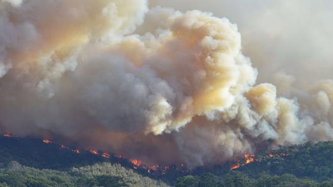 Acrid smoke from the Cherry Gardens fire has blanketed Adelaide and the Hills. Picture: Brenton Edwards