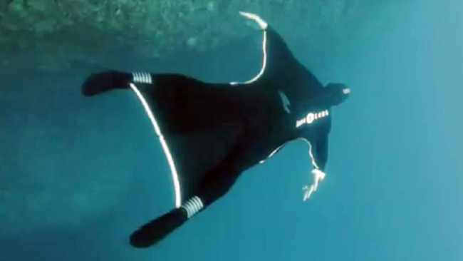 New Underwater Wingsuit Unveiled By Aqua Lung