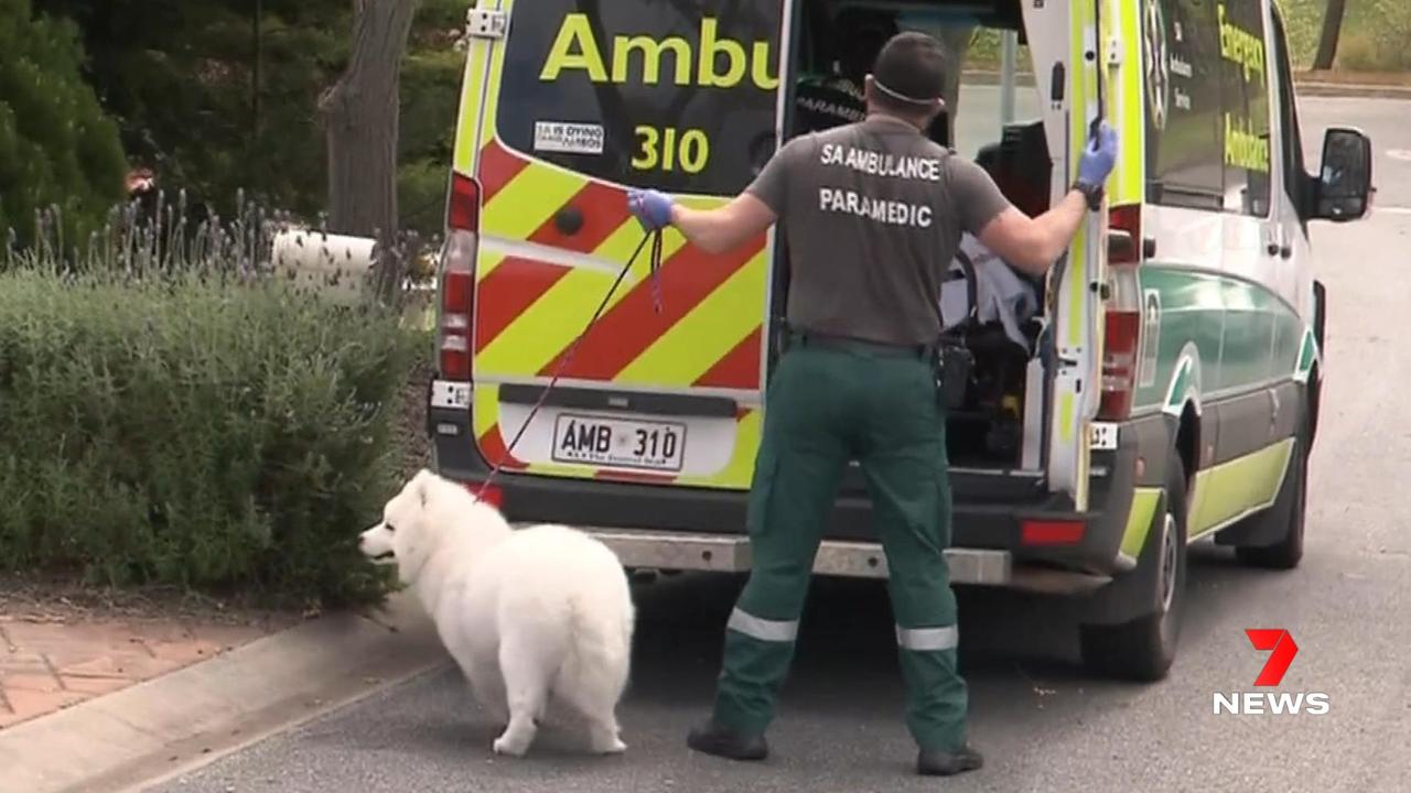 The women’s dog was set to get a ride home in an ambulance. Picture: 7NEWS