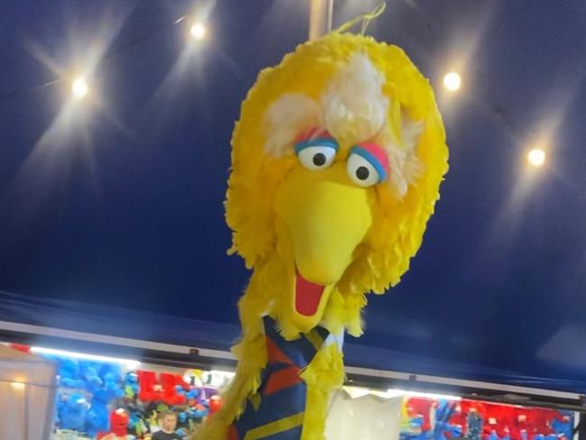 Big Bird Stolen - Sometime between 4.30pm Sunday 18 and 9.30am Monday 19 April a large yellow ‘Big Bird’ costume was stolen from the Circus area. Feathers were spotted nearby on Port Road.Anyone who has information about the theft is asked to contact Crime Stoppers on 1800 333 000 or report on line at  www.crimestopperssa.com.au – you can remain anonymous. Picture SA Police