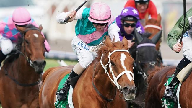 Finche is proven at 3200m after running fourth in last year’s Melbourne Cup. Picture: AAP