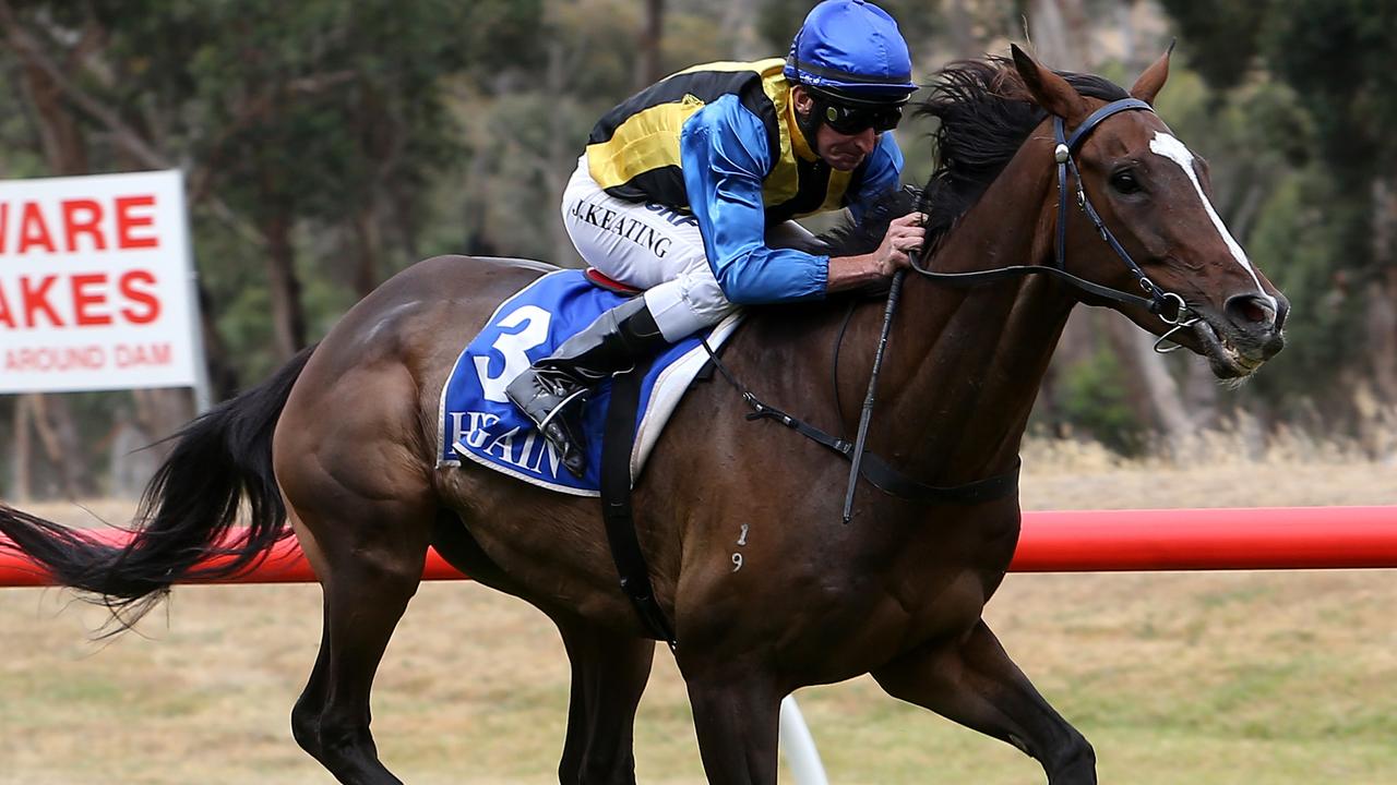 Hanging Rock, New Years Day Races