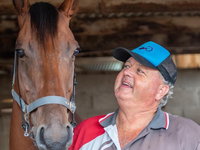 Brett Bellamy Northern Knight six year old bay gelding. 04 FEB 2020