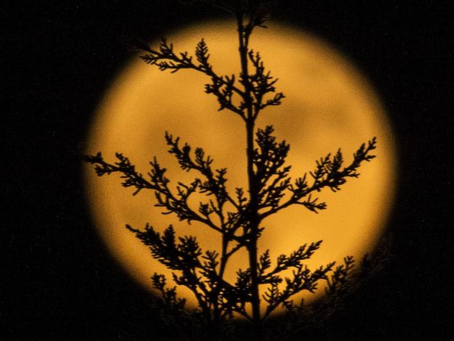 A supermoon rises over Sevilla on November 14, 2016. Picture: AFP PHOTO / CRISTINA QUICLER