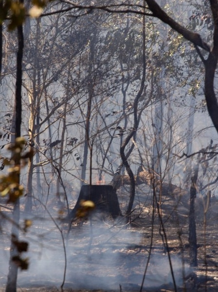 Emergency services respond to a bushfire at Moore Park Beach.