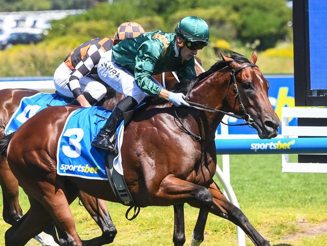 Bodyguard ridden by Mark Zahra wins the Sportsbet Blue Diamond Prelude (C&G) at Caulfield Racecourse on February 10, 2024 in Caulfield, Australia. (Photo by Pat Scala/Racing Photos via Getty Images)