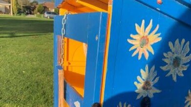 A community library in Modbury Heights was vandalised on the weekend. Picture: Kiera Taylor