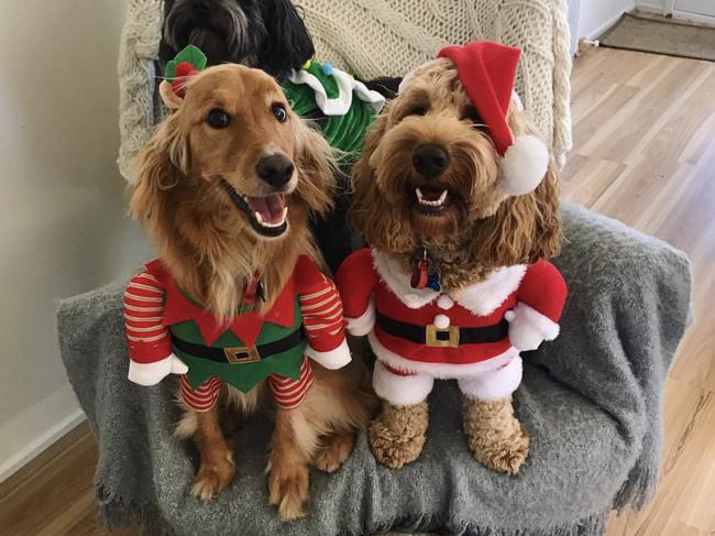 Three’s a festive crowd in Heidelberg Heights. Picture: Simone David
