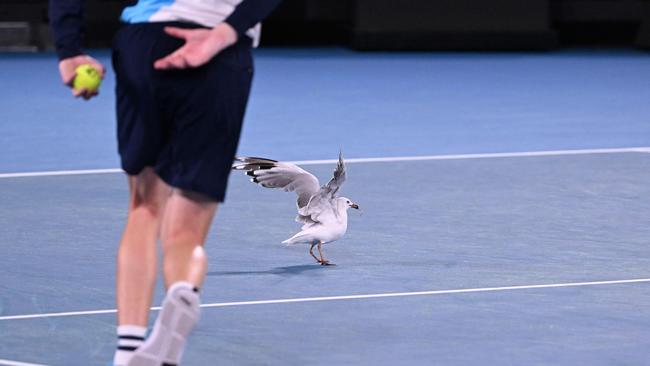 That’s weird, there’s no hot chips here. (Photo by WILLIAM WEST / AFP)