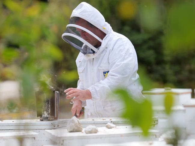 Leatherwood honey producer Julian Wolfhagen tends to some of his hives in Tasmania’s South-West. Picture: Richard Jupe