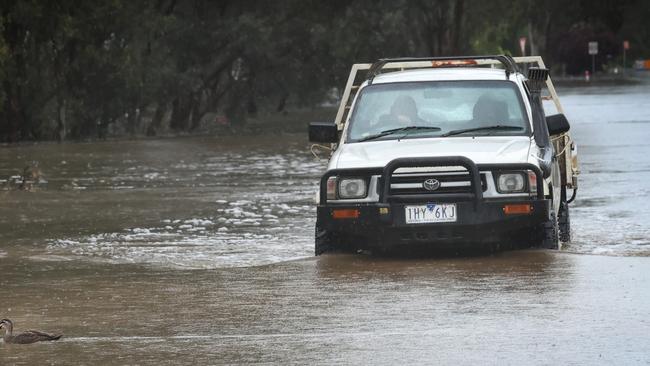 A ute risks the flood water to transport sandbags to desperate Echuca residents protecting their homes. Picture: David Caird