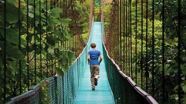 A cloud forest? Does travel get more amazing than that? Picture: Intrepid Travel