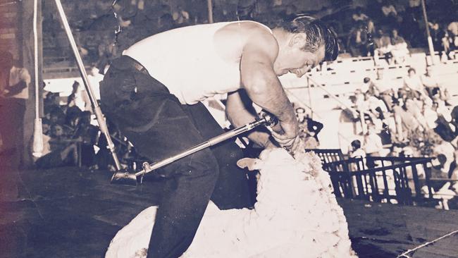 Richard "Dick" Duggan The King shearing in 1964 at the Sydney Royal Easter Show. He is an Australian Shearers Hall of Fame inductee.