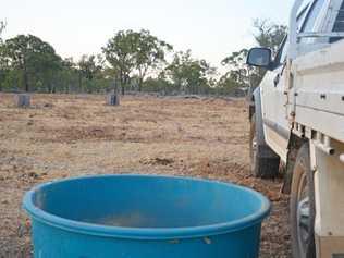 The poly tub with loose lick on the farm at Greymare. Picture: Gerard Walsh