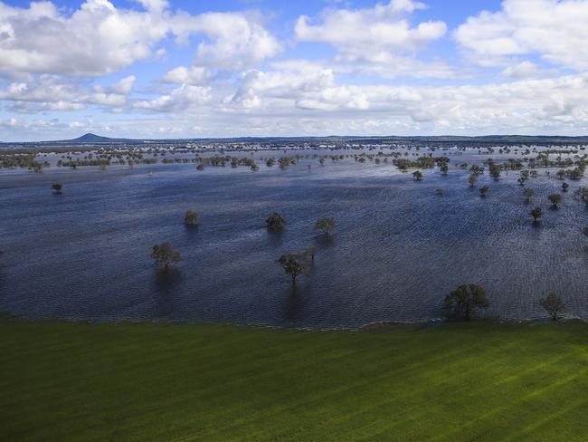 Crop farmer Brad Shephard's property at Lake Cowal, 70km west of Forbes, where 80% of his crops are flooded and lost. Picture: Dylan Robinson