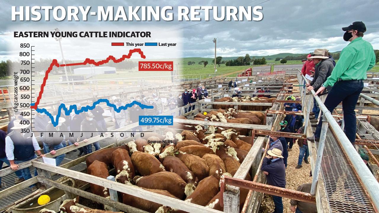 Beef, Lamb, Bull Prices Soar: Top 10 Cattle, Sheep Highlights Of 2020 ...