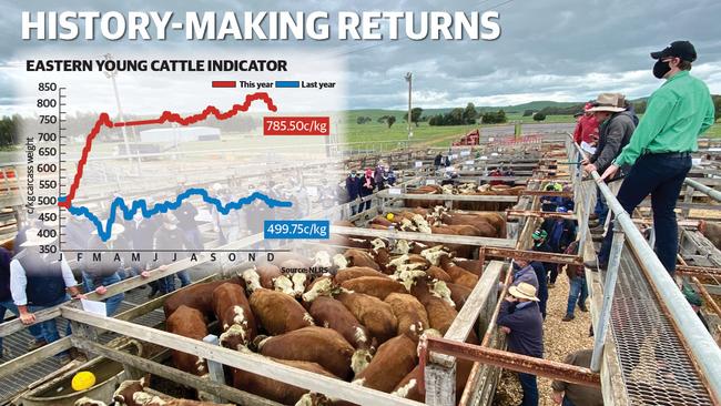 The Eastern Young Cattle Indicator hit 829c/kg in early November.