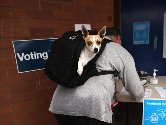 A voter enters the polling area with his dog in his backpack. Picture: Gary Ramage