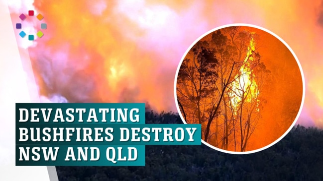 Bushfires rage across NSW and Qld with residents urged to evacuate