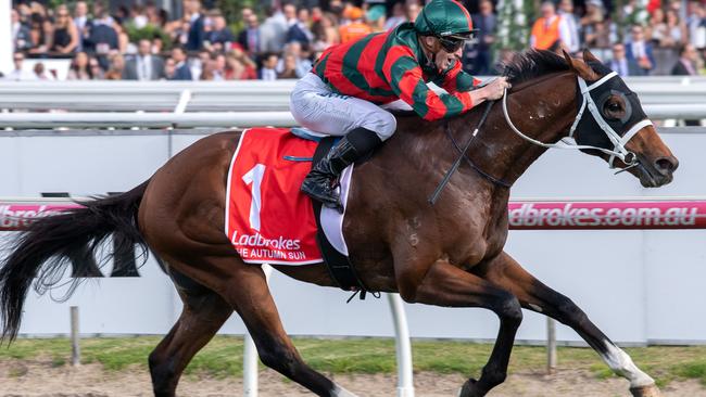 The Autumn Sun, ridden by James McDonald, makes easy work of the Caulfield Guineas.