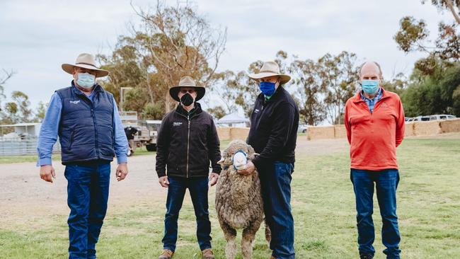 Craig Trickey, John McGrath, Stephen Chalmers and Russell Sloan from Coriyule were the buyers of an $11,000 ram at Wallaloo Park Ram Sale. Picture: Chloe Smith