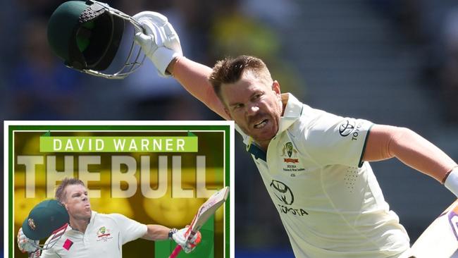 Download your David Warner hero poster.