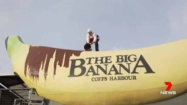 The Big Banana stunt causes chaos (7 News)