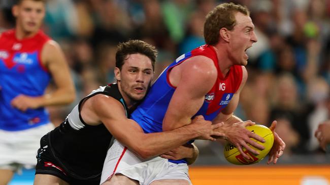 Adelaide is expected to come again hard for Petty. (Photo by Sarah Reed/AFL Photos via Getty Images)