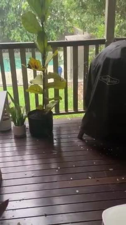 Hail falls in Norman Park