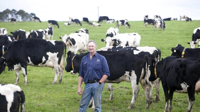 Mark Billing, vice president of United Dairyfarmers of Victoria. Picture Yuri Kouzmin