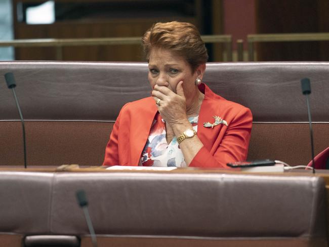 The inquiry's deputy chair, divorced One Nation Senator Pauline Hanson has slammed the plan as ‘painful’. Picture: NCA NewsWire / Gary Ramage