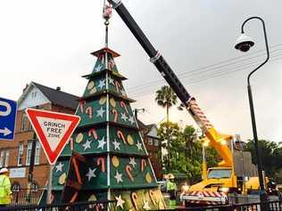 Lismore's new Christmas tree has arrived.