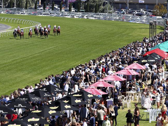 Morphettville’s biggest meeting of the year, Adelaide Cup Day. Picture: Sarah Reed