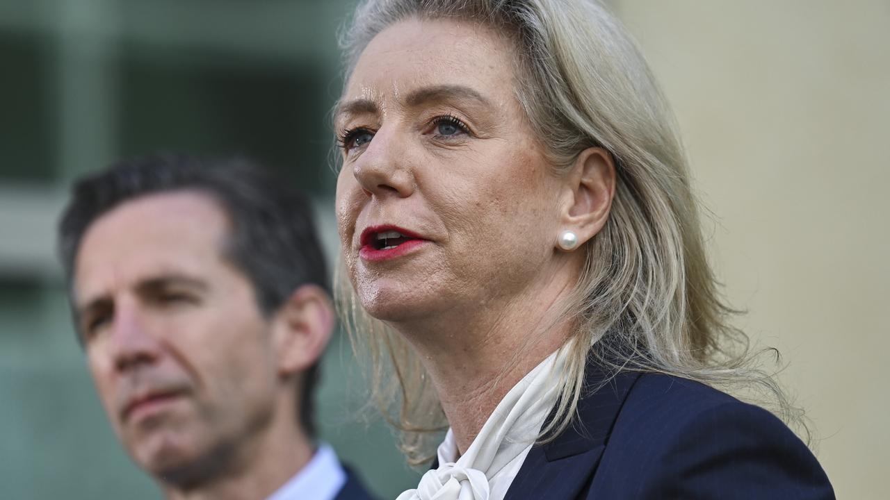 Senator Simon Birmingham and Senator Bridget McKenzie have vowed to bring Alan Joyce and Catherine King before the committee. Picture: NCA NewsWire / Martin Ollman