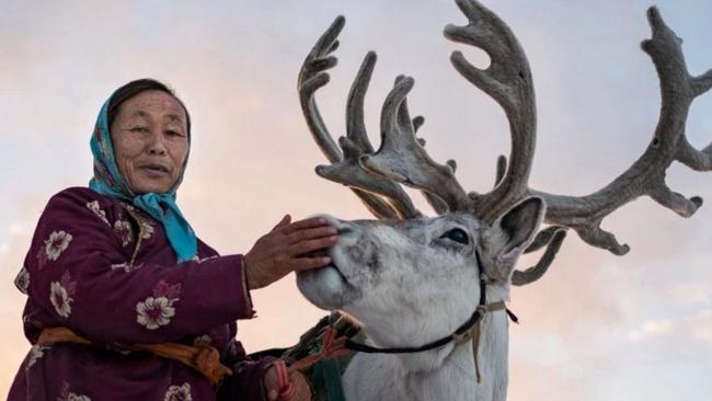 Reindeer in Mongolia: Nomad rides, pats real-life Rudolph | Photos ...