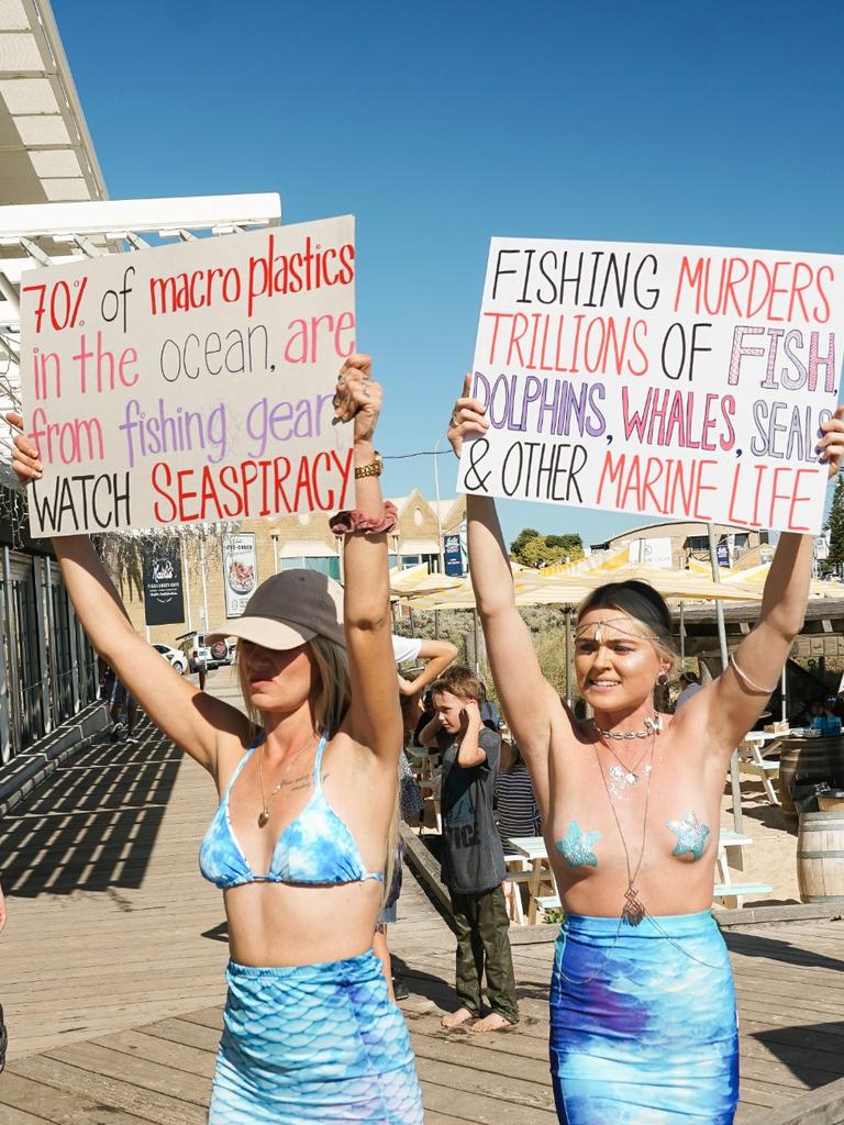 Tash Peterson bares breasts in topless stunt outside court with vulgar  message for The West Australian